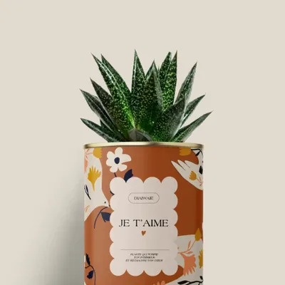 Cadeaux - Je t'aime - Mini Aloé - DIAIWAIE