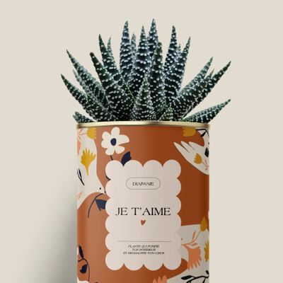 Cadeaux - Je t'aime - Maxi Aloé - DIAIWAIE