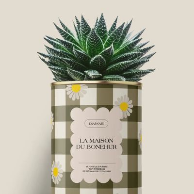 Gifts - La maison du bohneur - Maxi Aloé - DIAIWAIE