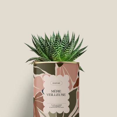 Cadeaux - Mère veilleuse - Mini Aloé - DIAIWAIE