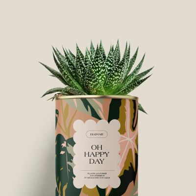 Cadeaux - Oh happy day - Mini Aloé - DIAIWAIE