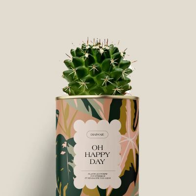 Cadeaux - Oh happy day - Mini Cactus - DIAIWAIE