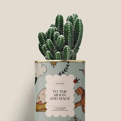 Gifts - To the moon and back - Mini Cactus - DIAIWAIE