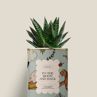 Gifts - To the moon and back - Mini Aloé - DIAIWAIE