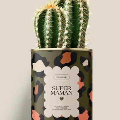 Cadeaux - Super maman - Maxi Cactus - DIAIWAIE