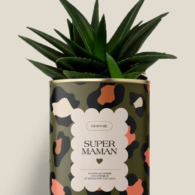 Cadeaux - Super maman - Maxi Aloé - DIAIWAIE
