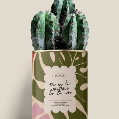 Gifts - Tu es la créatrice de ta vie - Maxi Cactus - DIAIWAIE