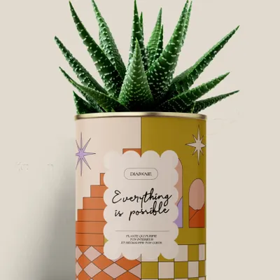 Cadeaux - Everything is possible - Maxi Aloé - DIAIWAIE