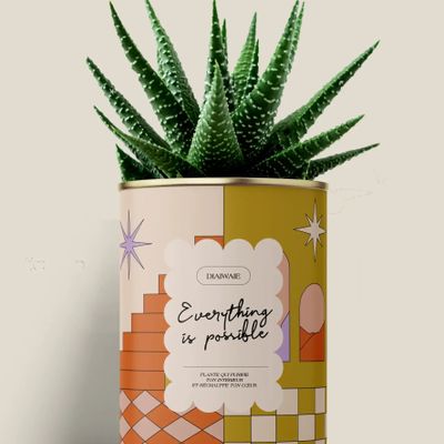 Gifts - Everything is possible - Maxi Aloé - DIAIWAIE