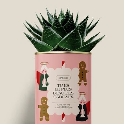 Cadeaux - TU ES LE PLUS BEAU DES CADEAUXX - Maxi Aloé - DIAIWAIE