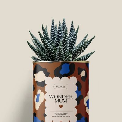 Gifts - Wonder mum - Mini Aloé - DIAIWAIE