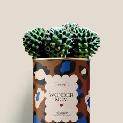 Cadeaux - Wonder mum - Mini Cactus - DIAIWAIE