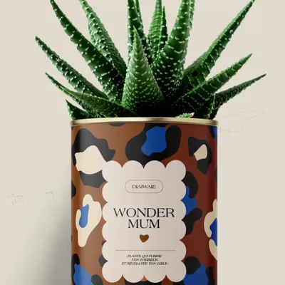 Cadeaux - Wonder mum - Maxi Aloé - DIAIWAIE