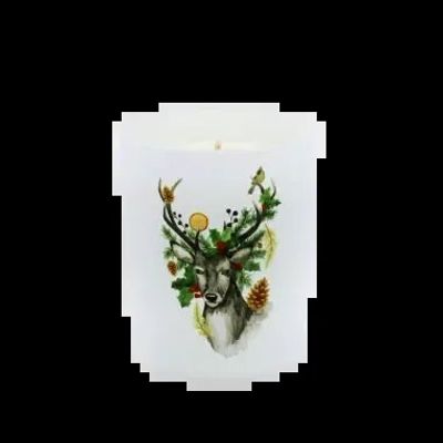 Bougies - Bougie Traditions Enchantées 180 g Sapin - LES LUMIERES DU TEMPS