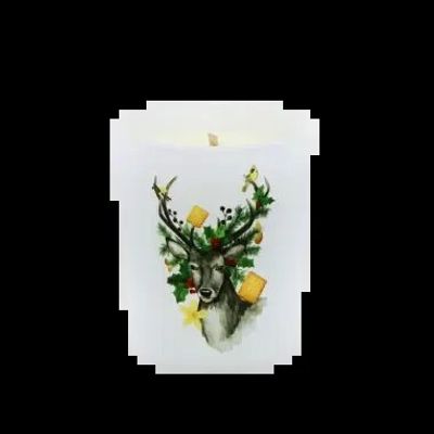 Candles - Enchanted Traditions Candle 180g Enchanted Biscuits - LES LUMIERES DU TEMPS
