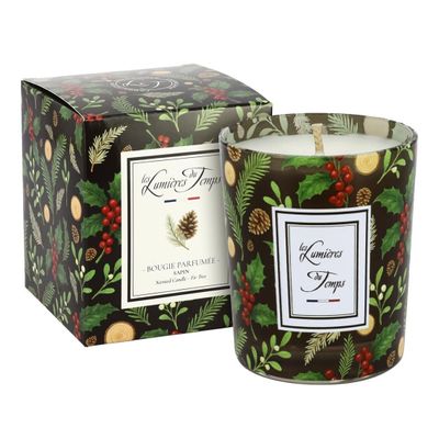 Candles - Winter Lights Candle 180g Fir - LES LUMIERES DU TEMPS