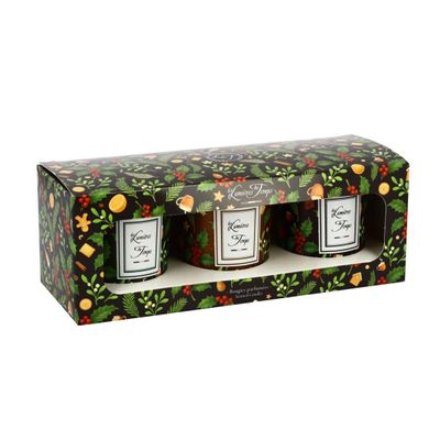 Bougies - Coffret Bougies Lumières d'Hiver 3x90g Thé au Coin du Feu - Biscuits Enchantés - Chocolat Chaud - LES LUMIERES DU TEMPS