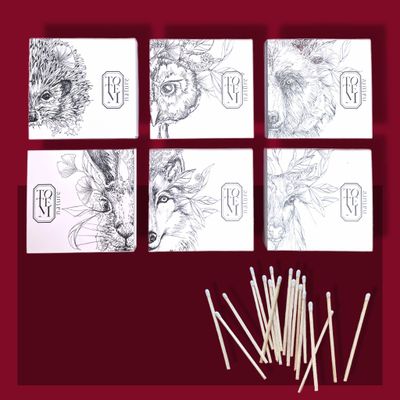 Bougies - Collection des 6 boites d'Allumettes - TOTEM NATURE