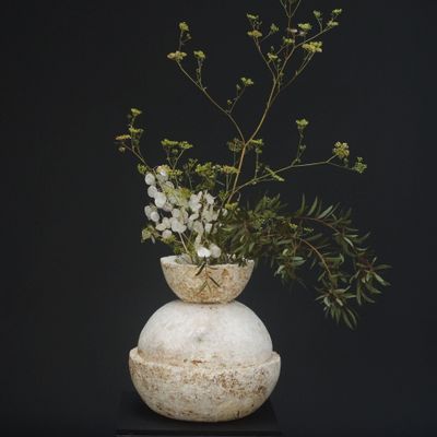 Poterie - ANEMONE - BOUTURES D'OBJETS