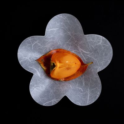 Assiettes de réception - Utsuwa SAKURA - NJ STYLE