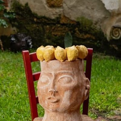 Flower pots - I GOLOSI TESTA GRANDE LIMONI - PATRIZIA ITALIANO