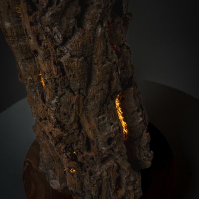 Unique pieces - Roots lamp - HERON DESIGN