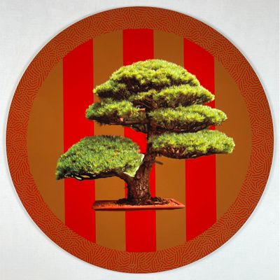 Sets de table - Sets de table - Bonsai Sottobicchieri - #06 - FURIA LIVING