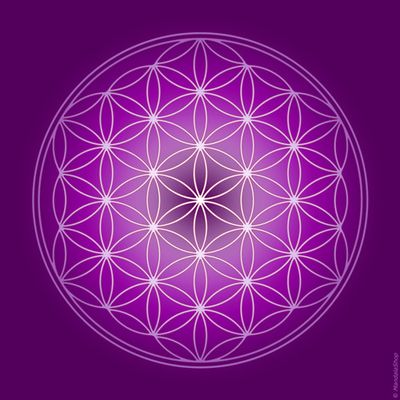 Decorative objects - Flower of Life canvas purple (7 colours at choice) - MANDALASHOP