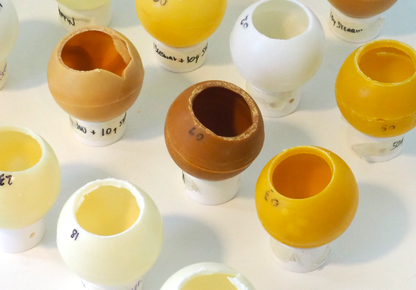 BAGUETTE STUDIO - Initiation