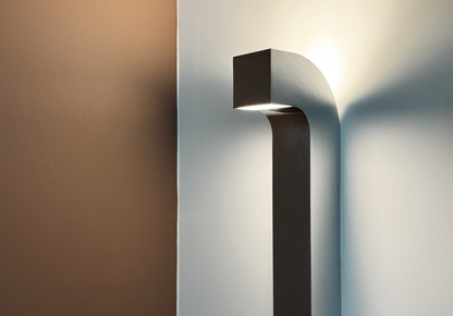 BACCARIS - Initiation