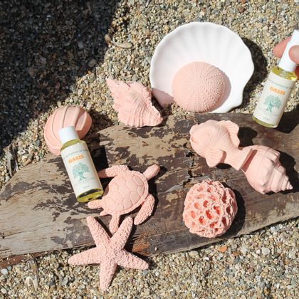 Scented Diffusers & Fragrance Oils 