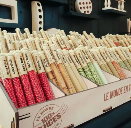 Spices - 50 SPICE IMPLANTATION KIT - LE MONDE EN TUBE 100 % EPICES