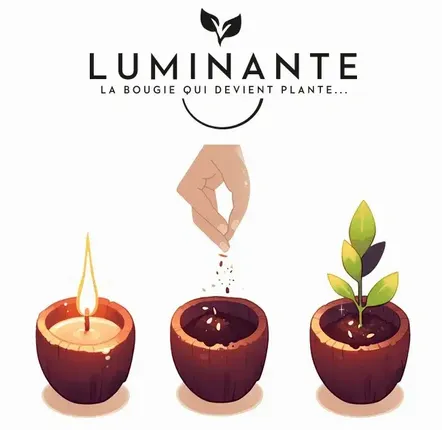 Candles - The candle that becomes a Vanilla plant - LUMINANTE
