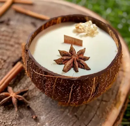 Candles - The candle that becomes a Vanilla plant - LUMINANTE