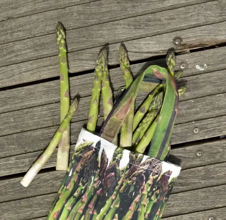 Bags and totes - Shopping Bag - Onion Bag - Asparagus Bag - MARON BOUILLIE