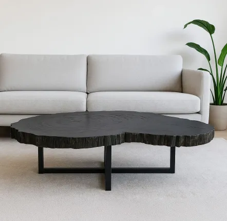 Office furniture and storage - Black petrified wood coffee tables - XYLEIA PETRIFIED WOOD