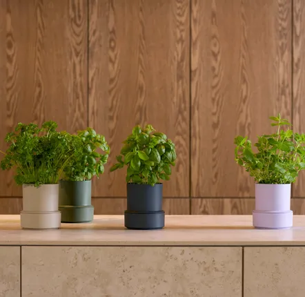 Spices - BILLUND self-watering pots - CRUSHGRIND® DENMARK