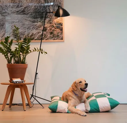 Outdoor fabrics - The Fritz Dog Bed - APPROVED BY FRITZ