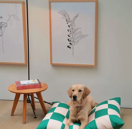 Outdoor fabrics - The Fritz Dog Bed - APPROVED BY FRITZ