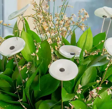 Accessoires de jardinage - Fleur en verre ronde blanche pour décoration extérieure - CARNEOL GLASS