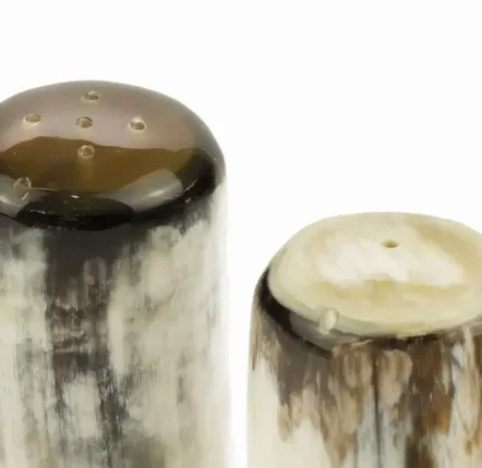 Moulins à épices - Salière et poivrière en corne blonde - L INDOCHINEUR X RIVÊT