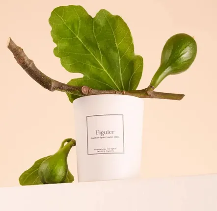 Candles - Fig Leaf scented candle - 180g white glass - 100% vegetable wax - TANDEM FRAGRANCES