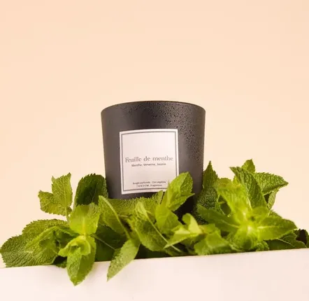 Candles - Mint Leaf scented candle - 180g black glass - 100% vegetable wax - TANDEM FRAGRANCES