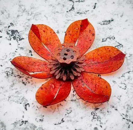Gifts - Lotus Eclosion box - YÜSSÉE