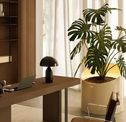 Office design and planning - Wedge Collection - MAZU BV