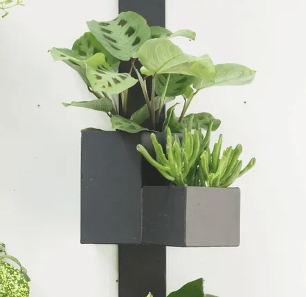 Window boxes - NICA, Natural Slate Wall Planter - ARDOISE DESIGN