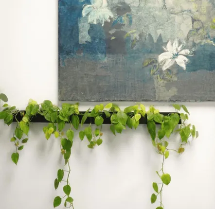Window boxes - LE TRAIT, Rectangular natural slate wall planter - ARDOISE DESIGN