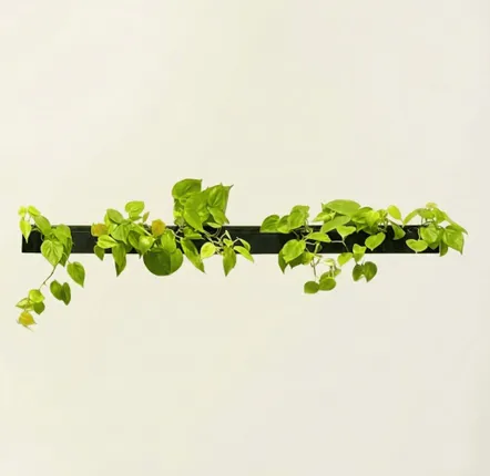 Window boxes - LE TRAIT, Rectangular natural slate wall planter - ARDOISE DESIGN