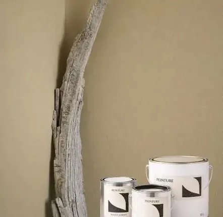 Paints and varnishes - Paint - 2.5L Facades - MARIUS AURENTI
