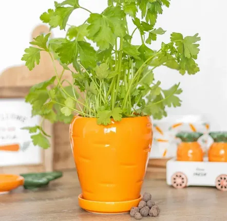 Pots de fleurs - Pot de fleurs en forme de carotte avec des boules de graines de persil - SOMETHING DIFFERENT WHOLESALE EUROPE BV
